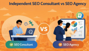 organic SEO consultant vs seo agency